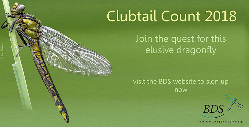 Clubtail Count 2018