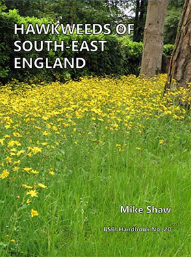Hawkweeds of south-east England