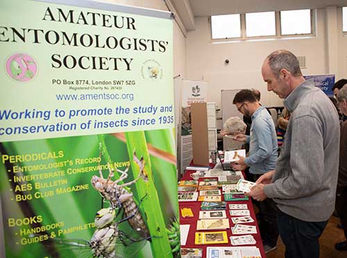 Pond net - Entomologists' glossary - Amateur Entomologists' Society (AES)