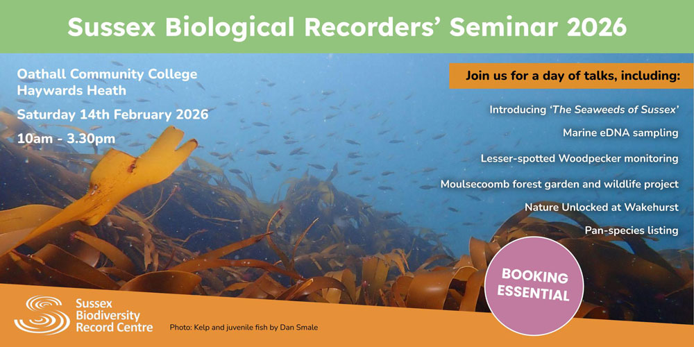 click here to book a ticket for the seminar. Image is of Kelp and juvenile fish by Dan Smale