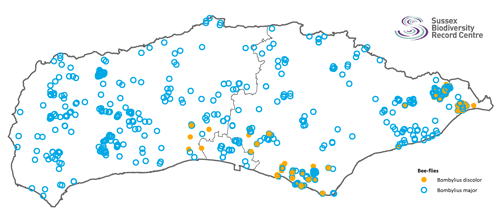 Bee-fly distribution in Sussex