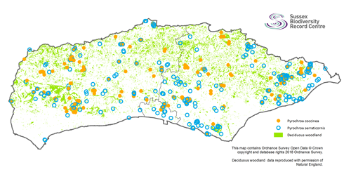 Cardinal beetle distribution