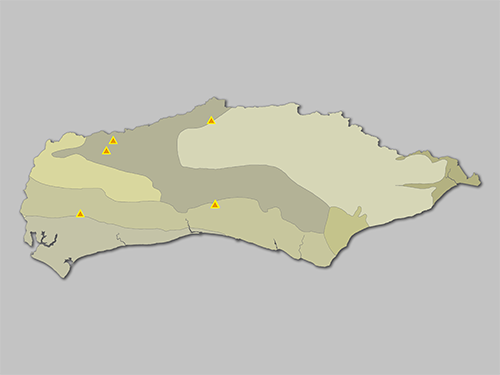 Chlorencoelia versiformis map