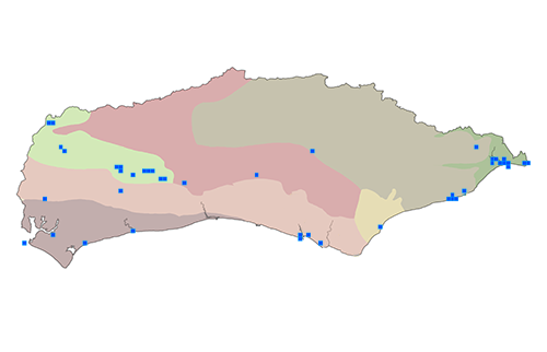 Dasypoda hirtipes Map