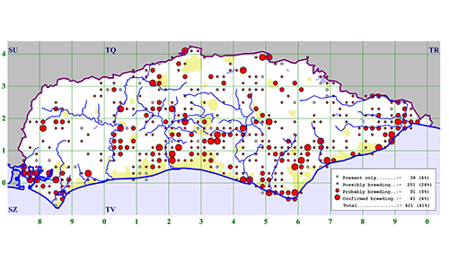 Lesser Whitethroat map