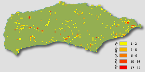 Eristalis pertinax distribution