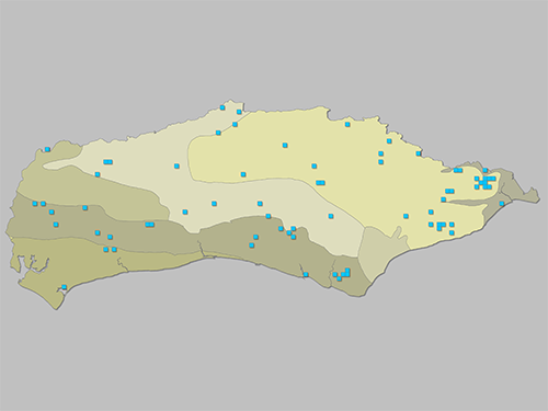 Phasia hemiptera - Distribution map