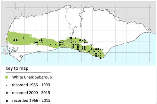 Thesium humifusum map