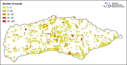 Common Toad heat map