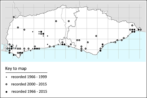 Trifolium ornithopodioides map